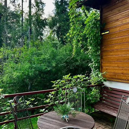 Prázdninový dům Pod Modrzewiem *