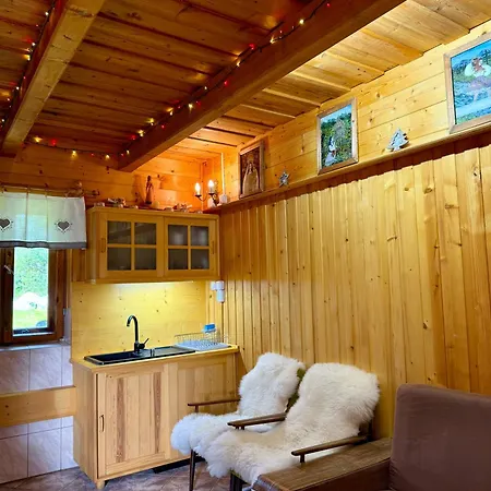 Pod Modrzewiem Tatil Evi *