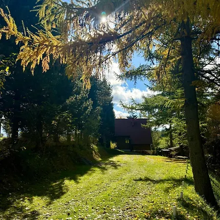Pod Modrzewiem Tatil Evi
