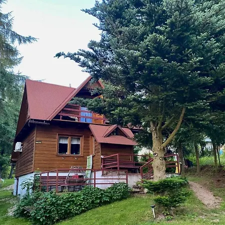 Pod Modrzewiem Nowy Targ