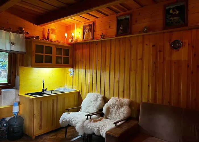 Dom wakacyjny Pod Modrzewiem *