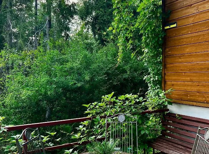 Dom wakacyjny Pod Modrzewiem *