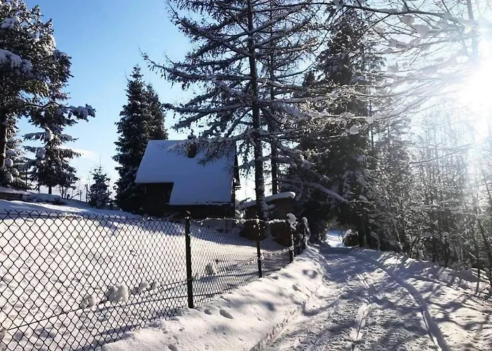 Pod Modrzewiem Nowy Targ