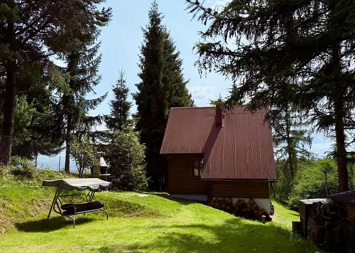 Prázdninový dům Pod Modrzewiem *