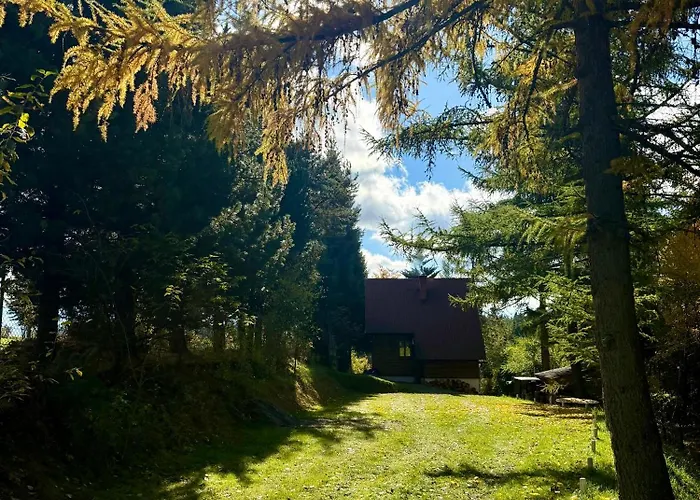 Pod Modrzewiem Дом отдыха