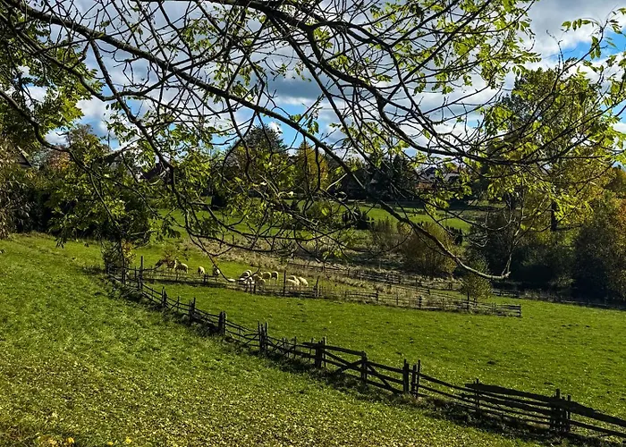 Дом отдыха Pod Modrzewiem *