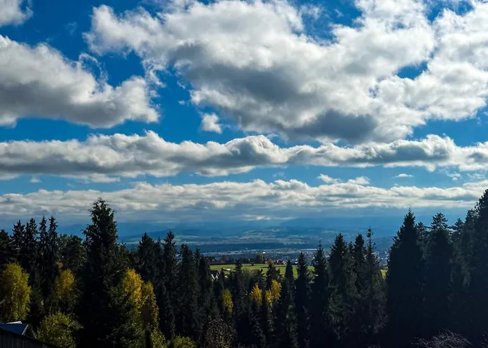 Pod Modrzewiem Prázdninový dům Nowy Targ