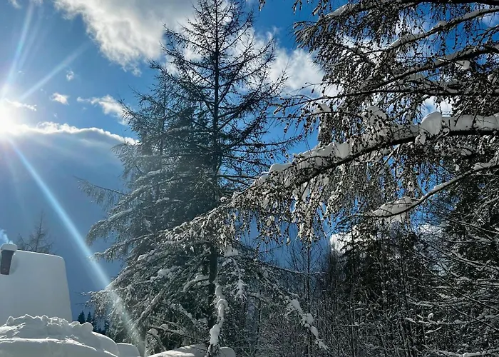 Pod Modrzewiem Новы-Тарг