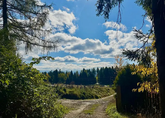 Pod Modrzewiem Дом отдыха